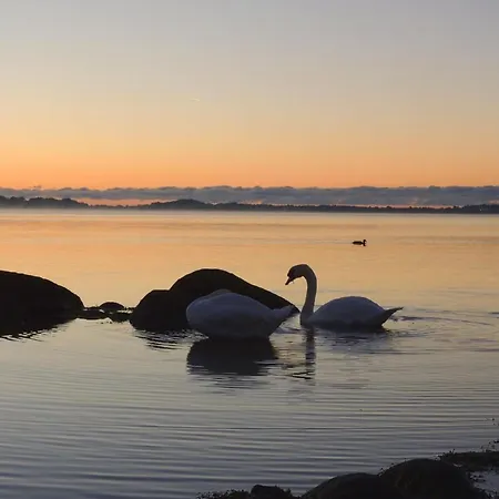 F-1037 Neuendorf Haus Terrasse, Gartennutzung, Meerblick Casa vacanze *