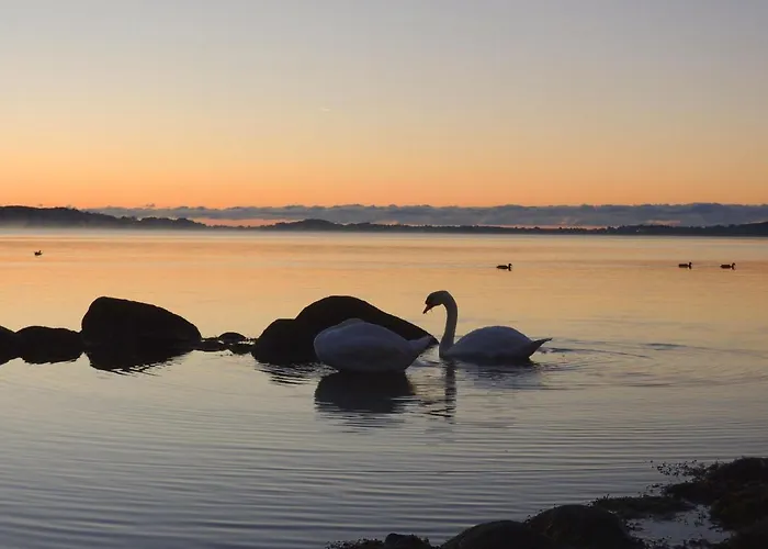 F-1037 Neuendorf Haus Terrasse, Gartennutzung, Meerblick Casa vacanze *